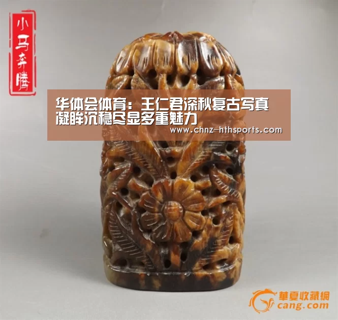 华体会体育