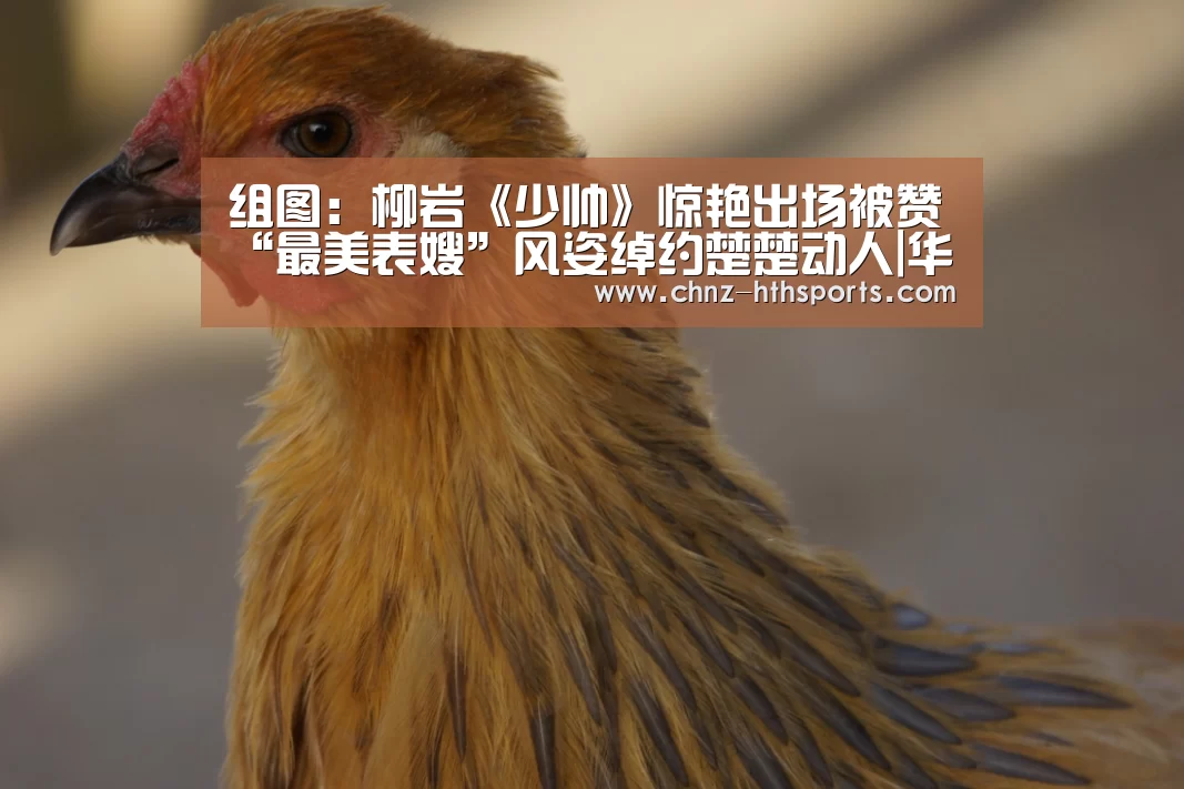 华体会体育